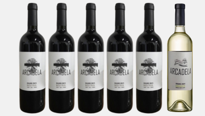 Vinho D.O.C. Douro Arcadela